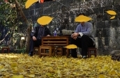 不惑 不惑